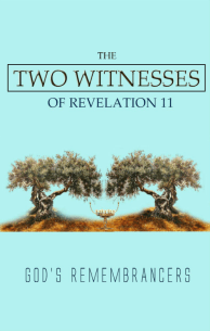 The Two Witnesses of Revelation 11