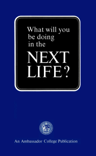 What Will You Be Doing In The Next Life